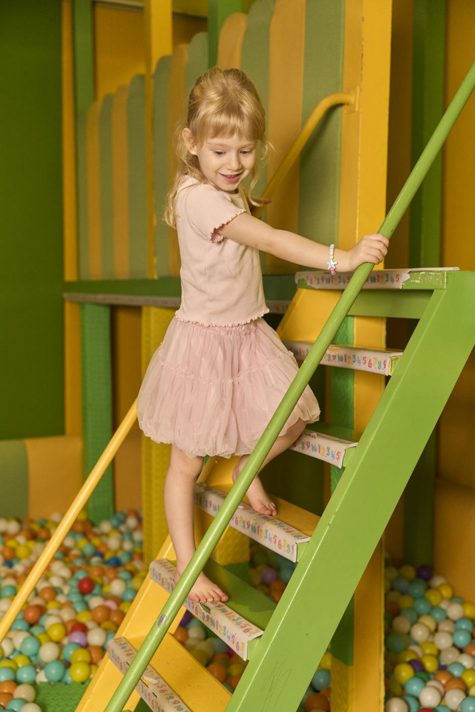 The ladder