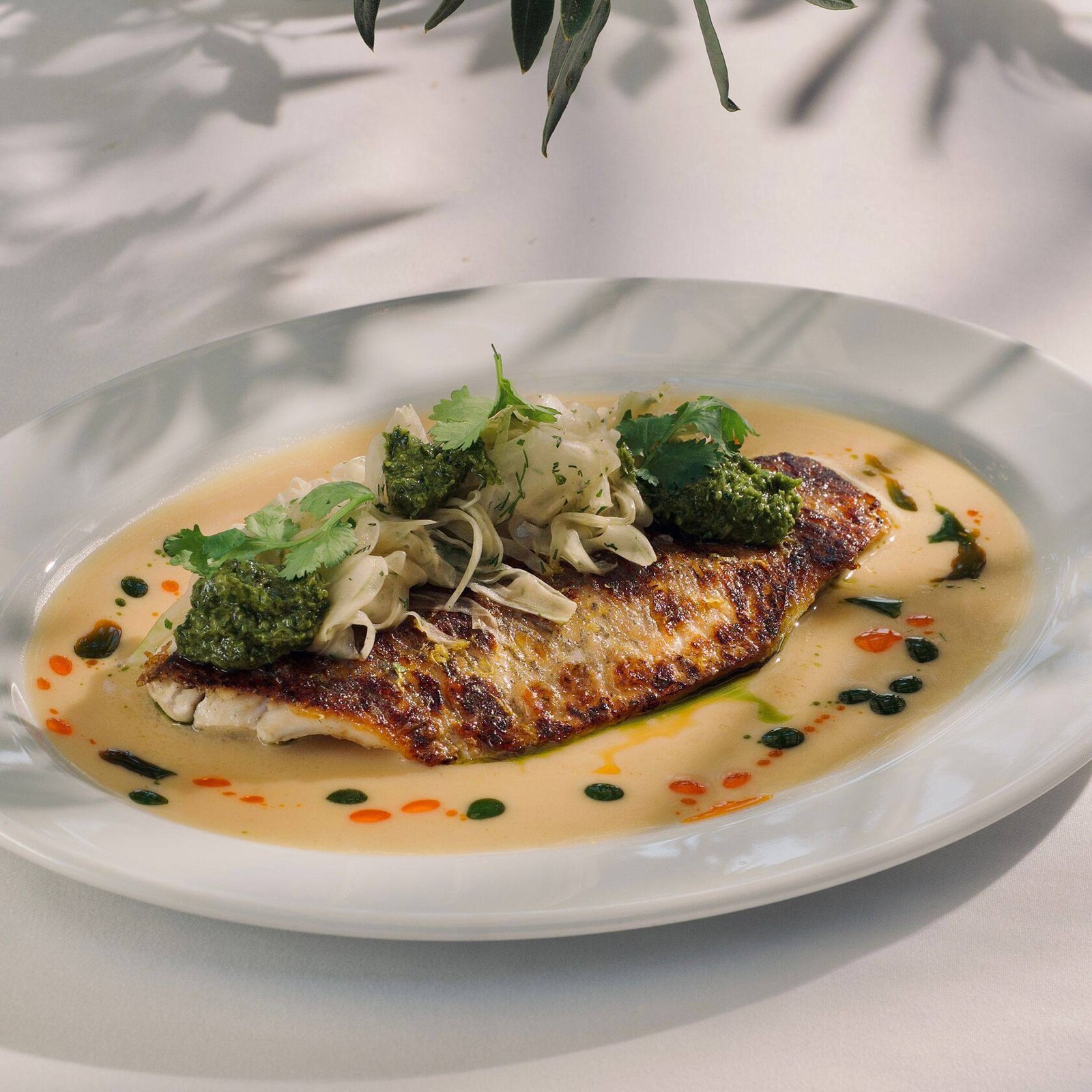 Barramundi at ETNA