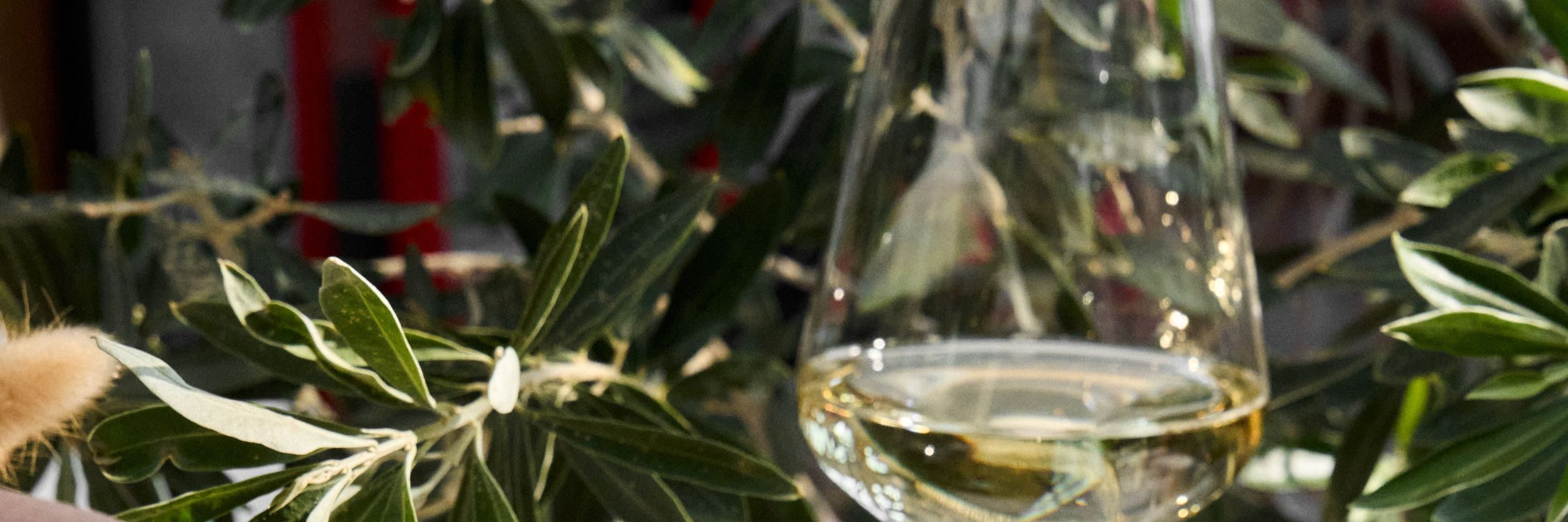 A glass of white wine among olive branches on the ETNA table